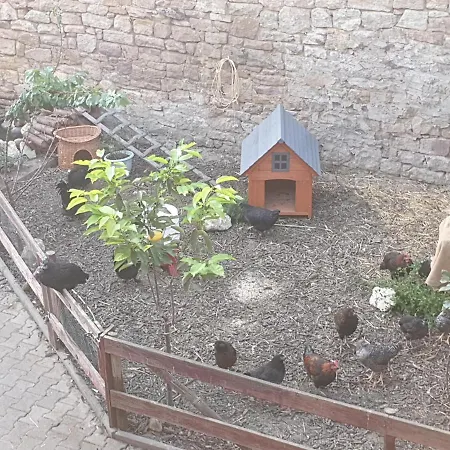 Neu! Fewo Tinkerhof Naehe Bingen Apartment