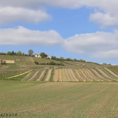 Neu! Fewo Tinkerhof Naehe Bingen Gau-Weinheim