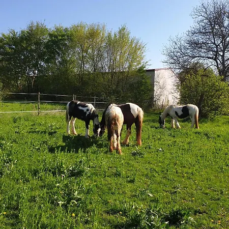 Neu! Fewo Tinkerhof Naehe Bingen Gau-Weinheim